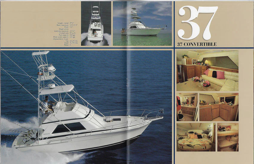 Bertram Convertible